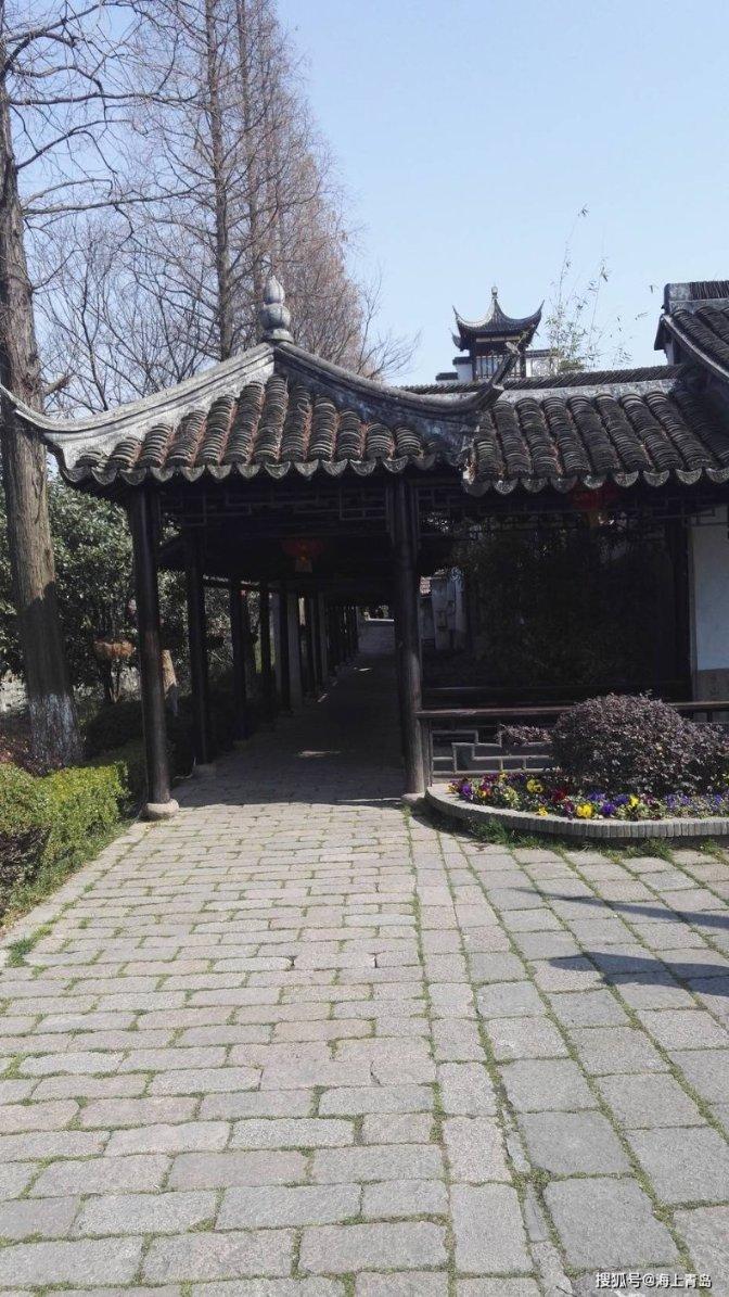 青岛平度市云山镇:科技赋能 冬日樱桃红艳艳
